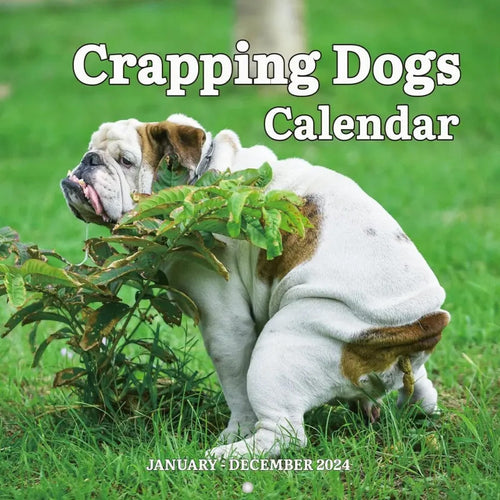 The funniest calendar of this century | The 