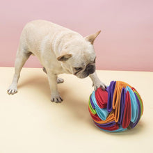 Load image into Gallery viewer, Snuffle Ball Dog Toy