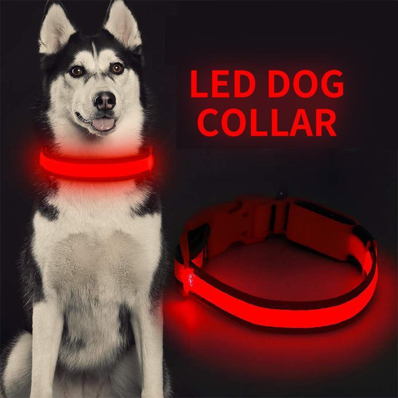 DOG LED COLLARS