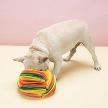 Load image into Gallery viewer, Snuffle Ball Dog Toy