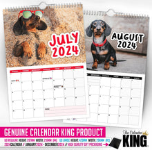 Load image into Gallery viewer, Cheeky Dachshunds - 2024 Wall Calendar