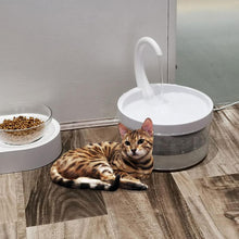 Load image into Gallery viewer, Cat automatic drinking bowl