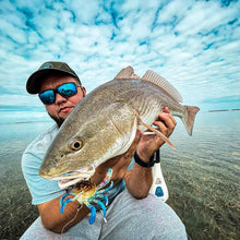 Load image into Gallery viewer, Bionic fishing lure